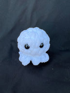 Baby Jellyfish