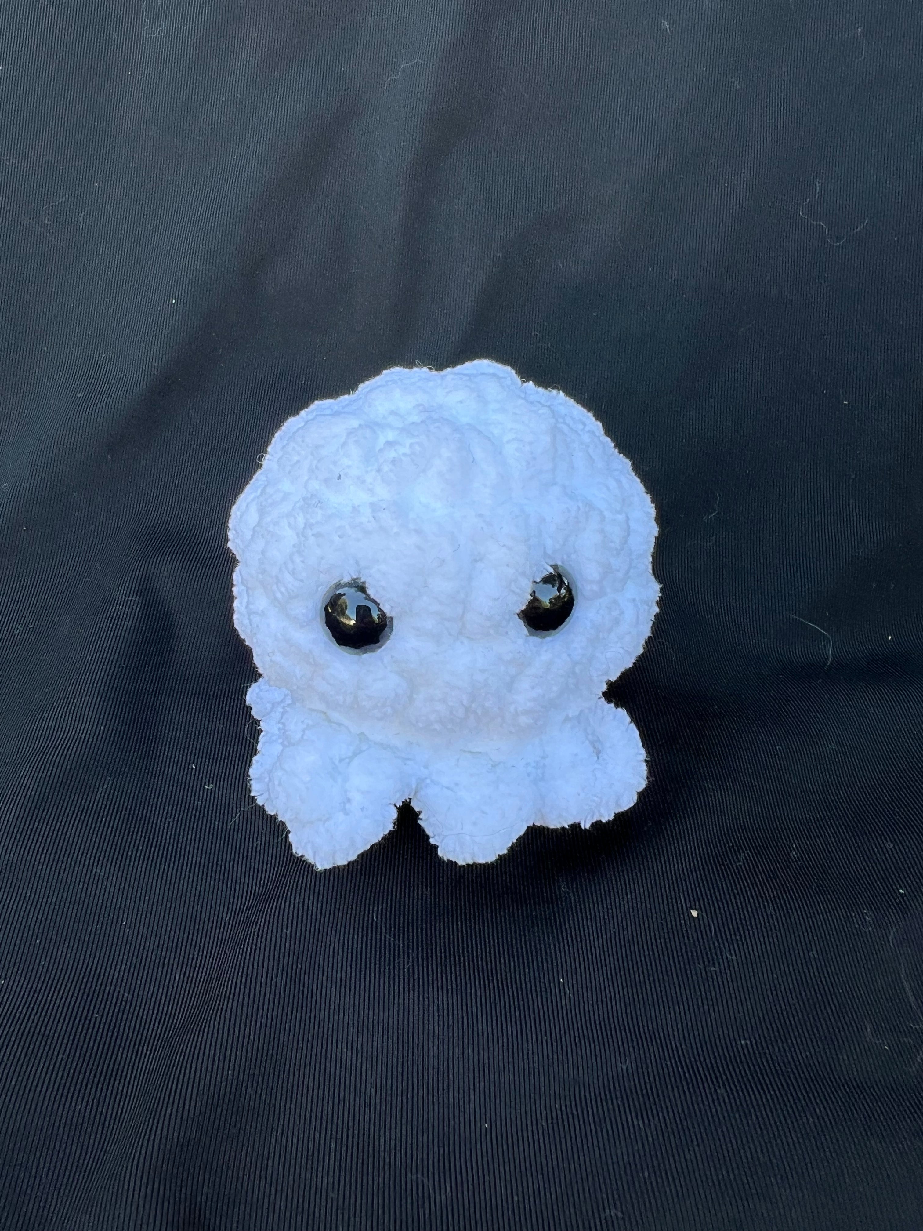 Baby Jellyfish