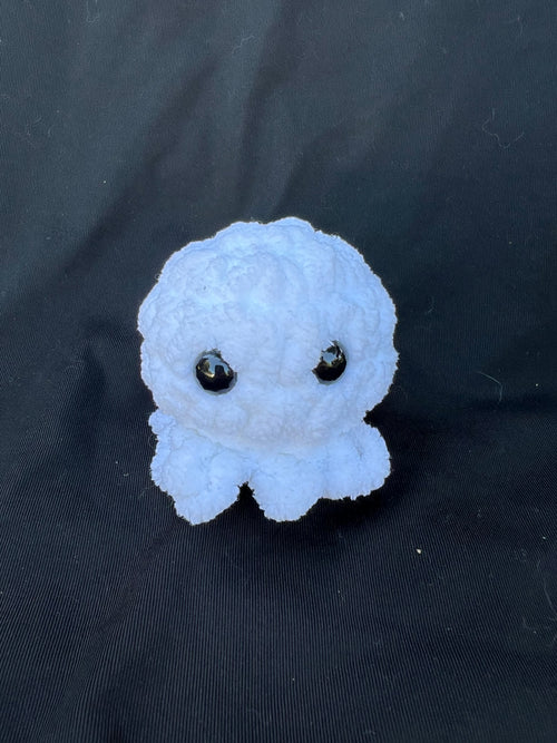 Baby Jellyfish