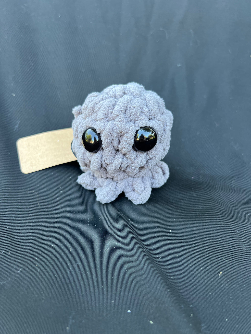 Baby Jellyfish