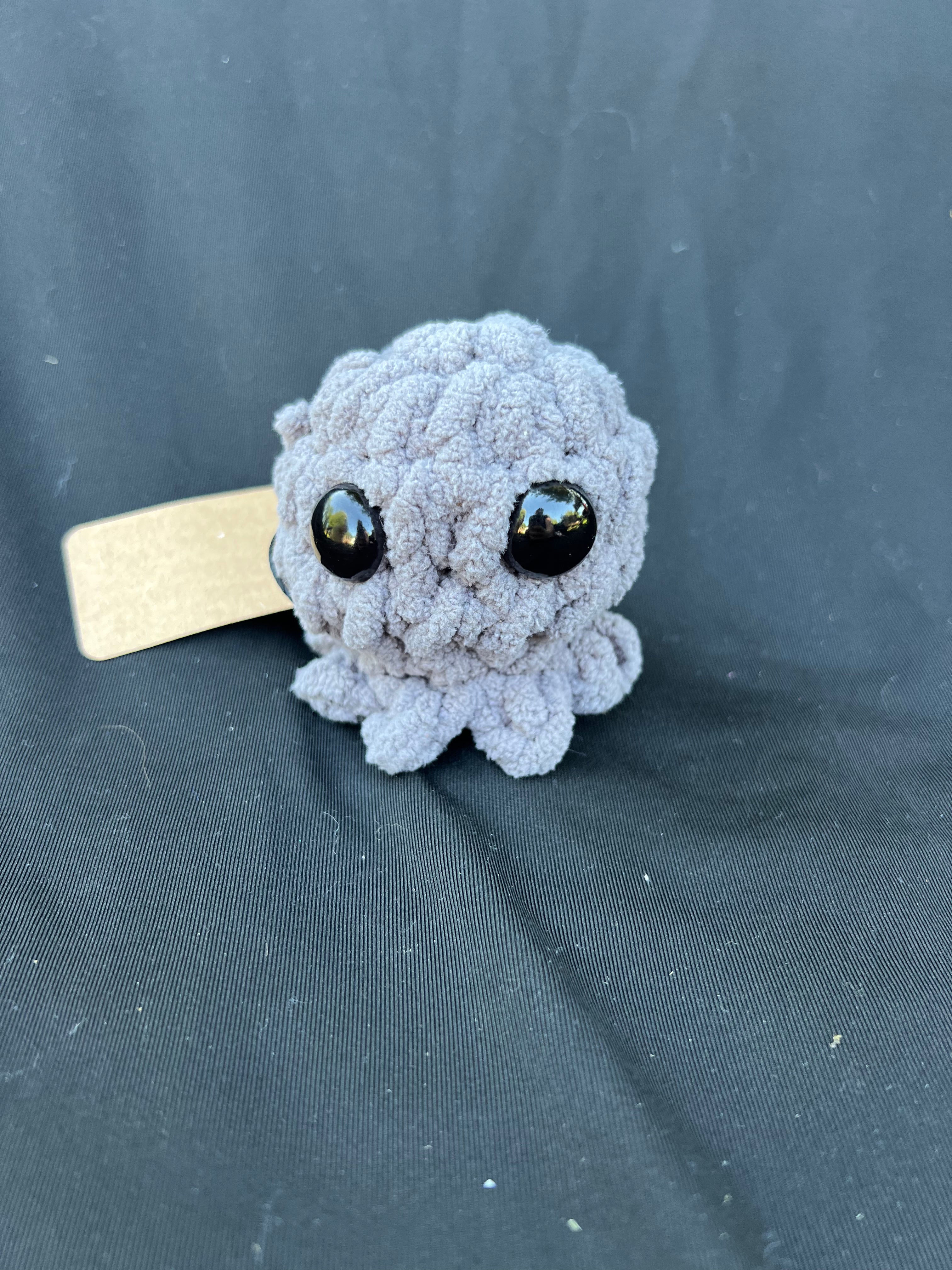 Baby Jellyfish