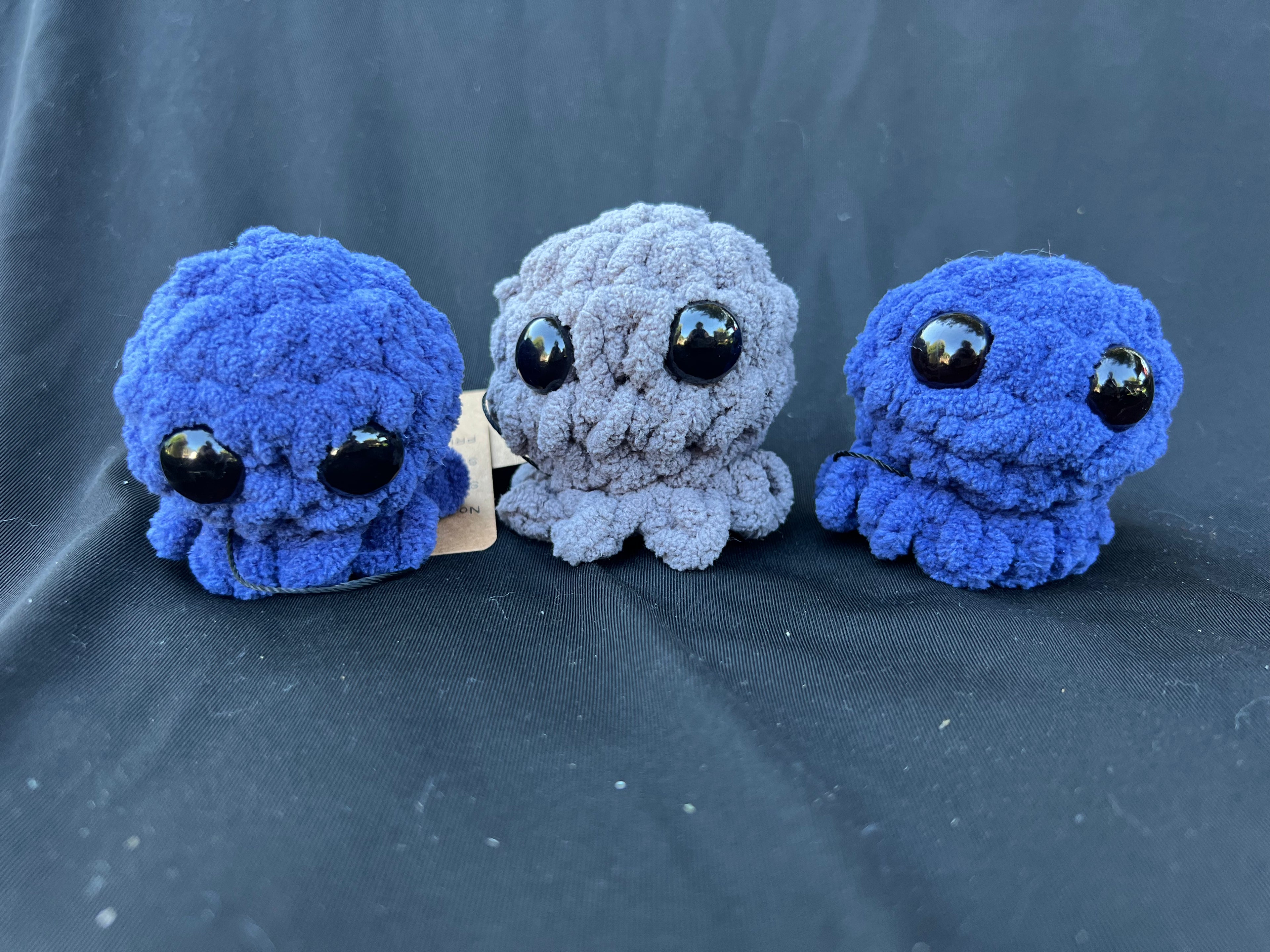 Baby Jellyfish