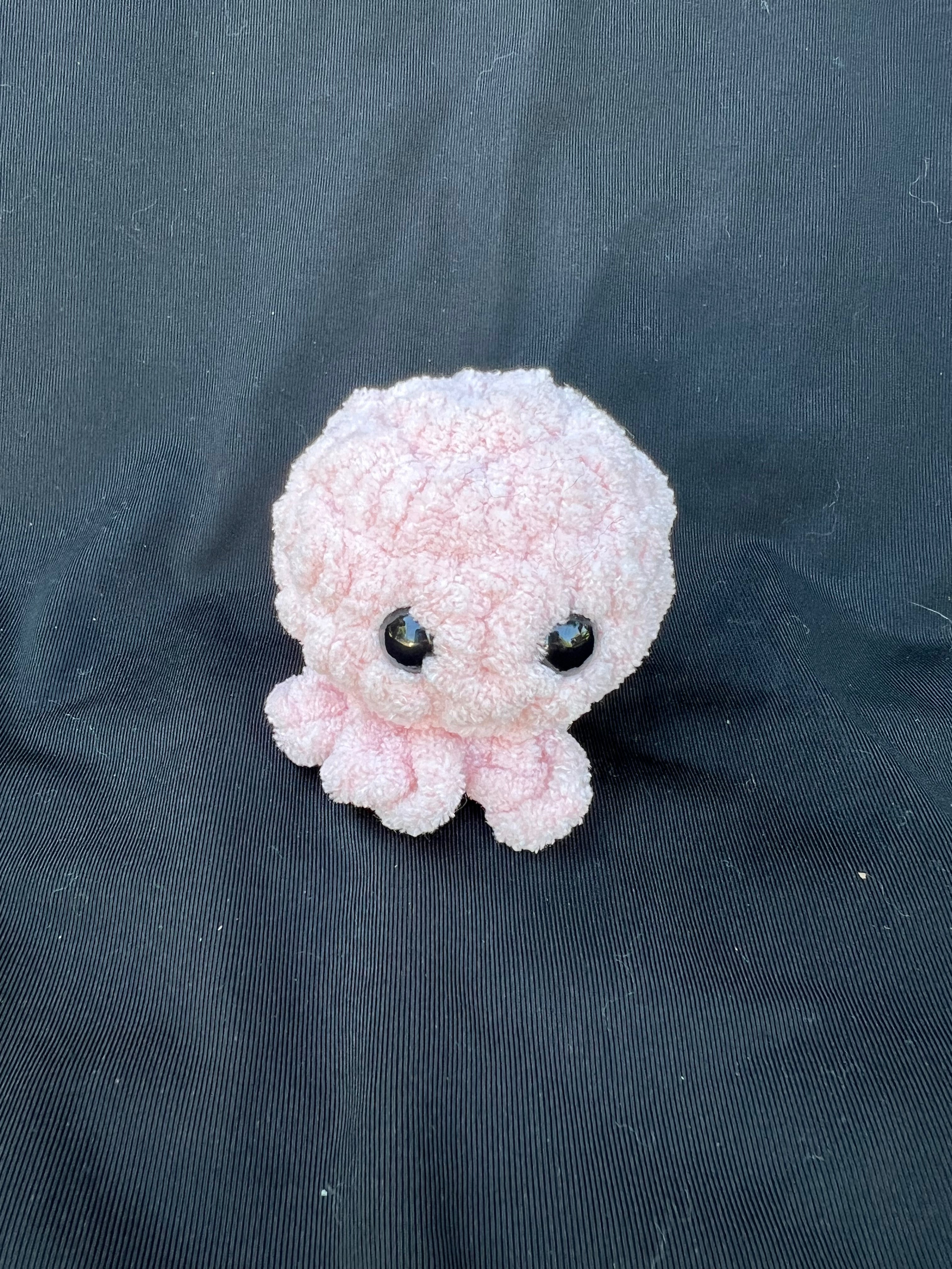 Baby Jellyfish