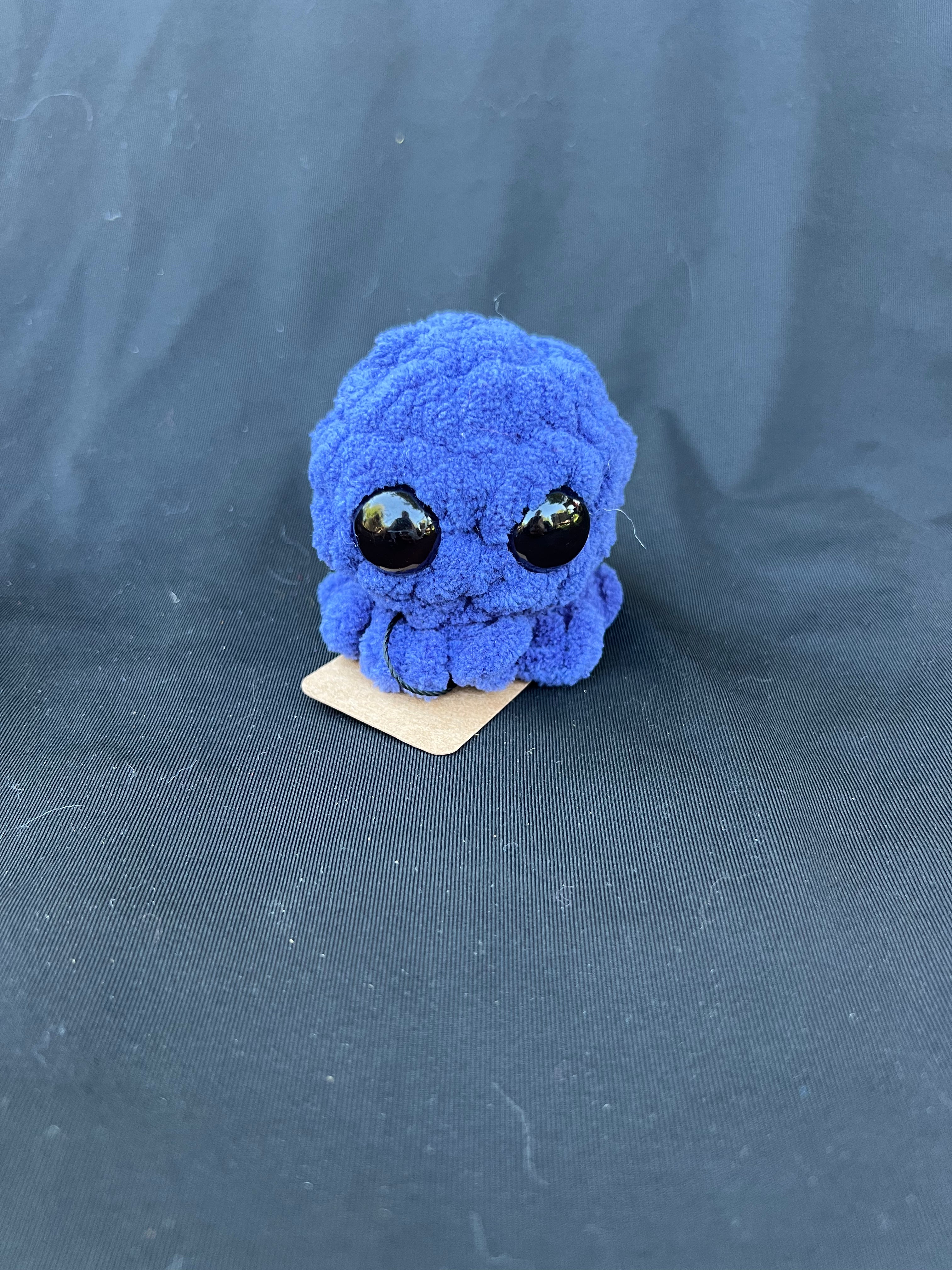 Baby Jellyfish