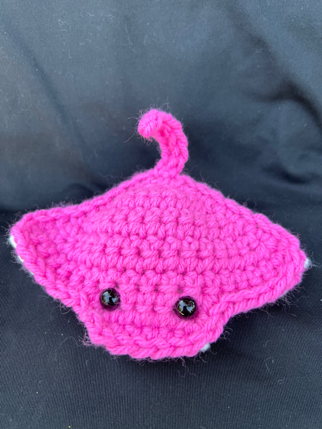 Stingray — photo 2