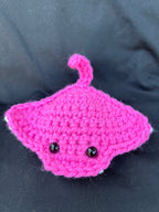 Stingray — photo 2